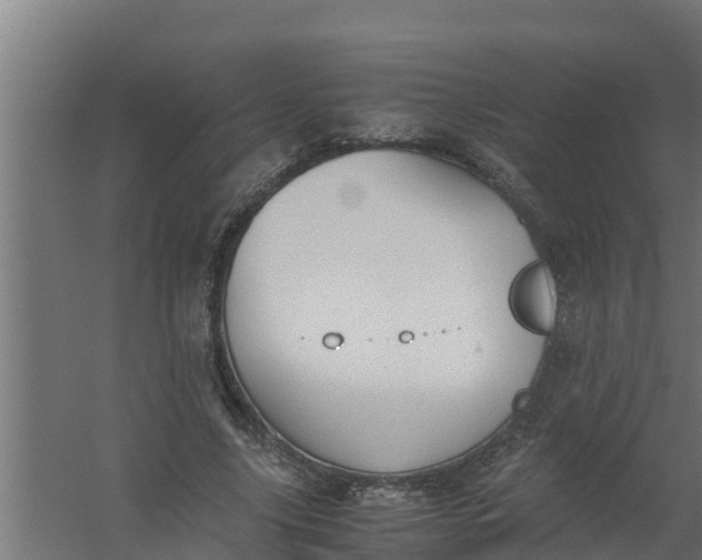 X0000059800635200511041628