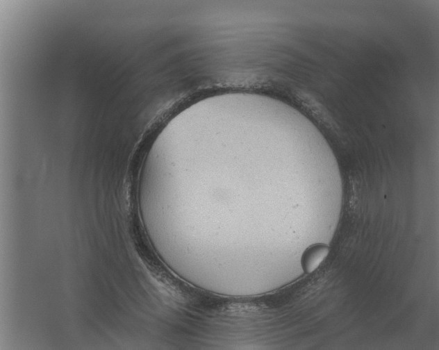 X0000059800636200511041628