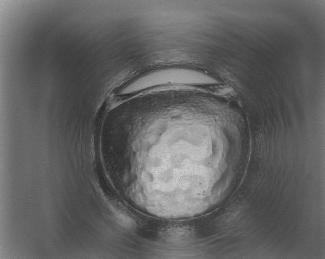 X0000059800638200511041628