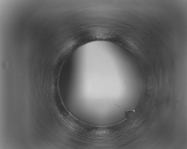 X0000059800639200511041628