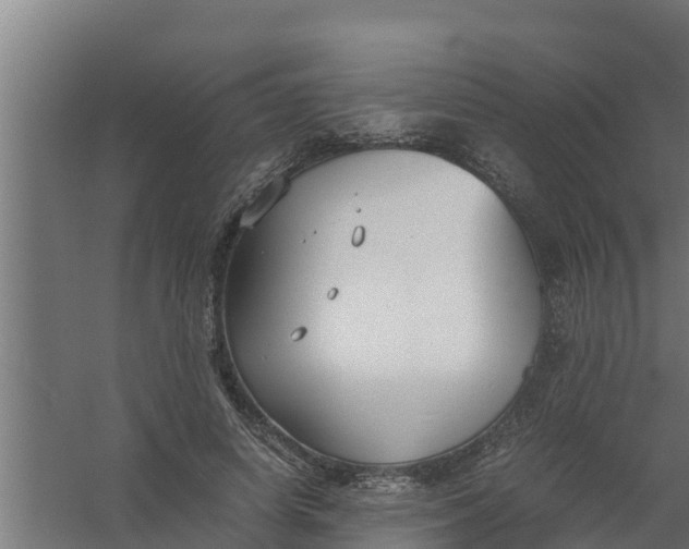 X0000059800642200511041628