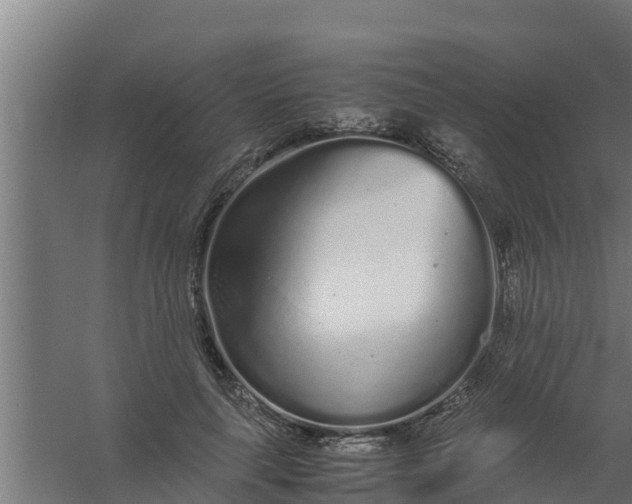 X0000059800643200511041628