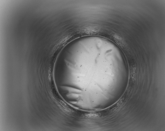 X0000059800644200511041628