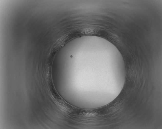 X0000059800645200511041628