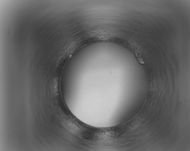 X0000059800646200511041628