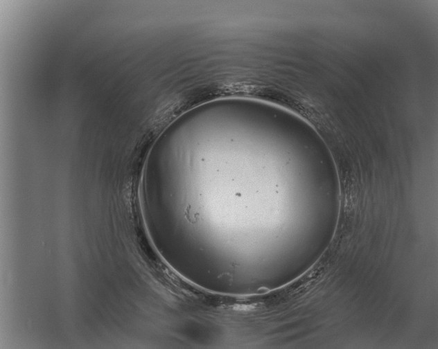 X0000059800647200511041628