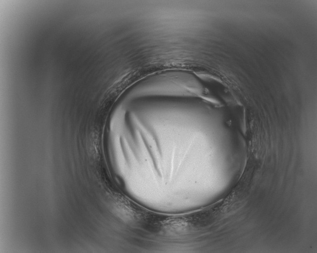 X0000059800648200511041628