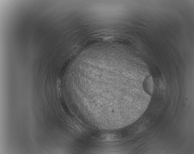 X0000059800650200511041628