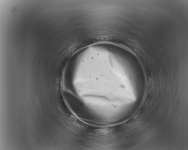 X0000059800652200511041628