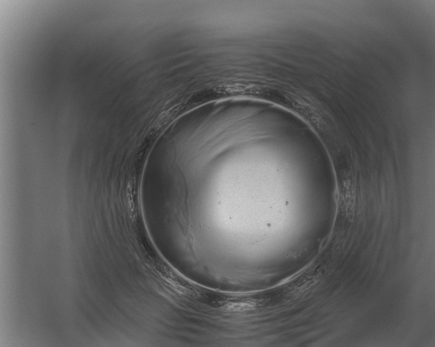 X0000059800653200511041628