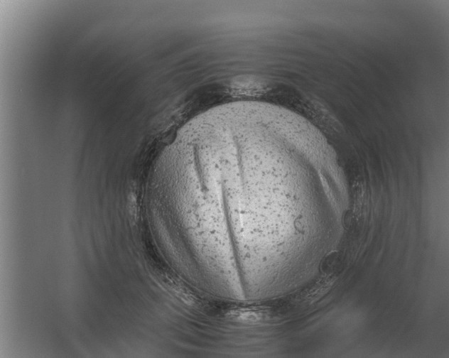 X0000059800655200511041628