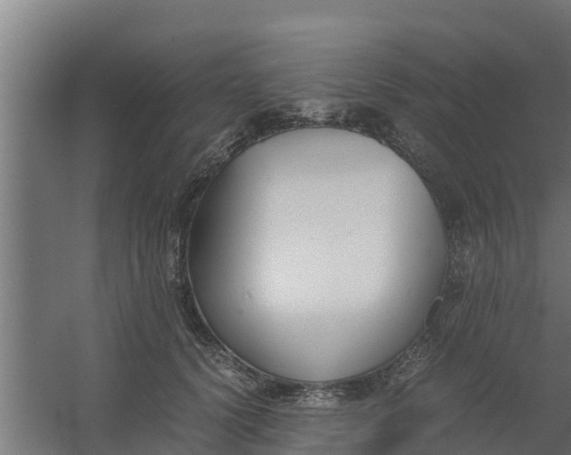 X0000059800656200511041628