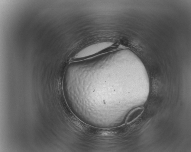 X0000059800657200511041628