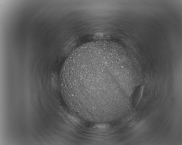 X0000059800659200511041628