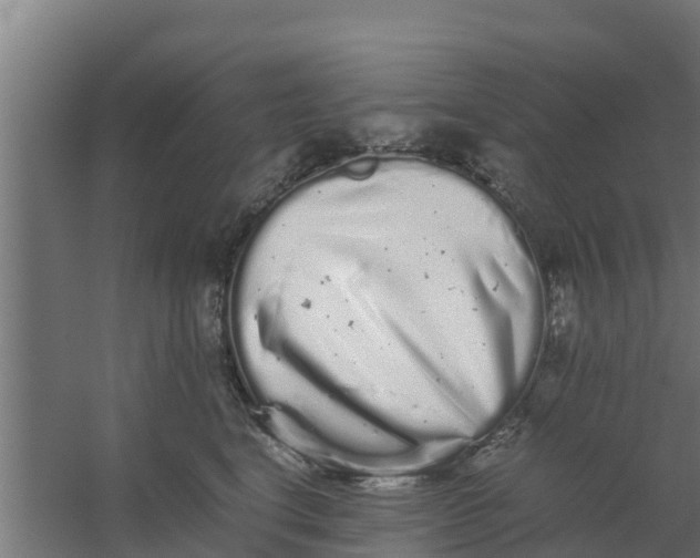 X0000059800664200511041628