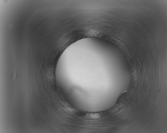 X0000059800665200511041628