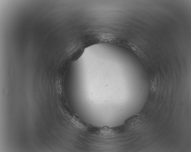 X0000059800666200511041628