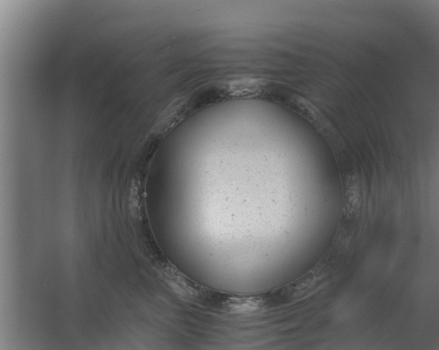 X0000059800667200511041628