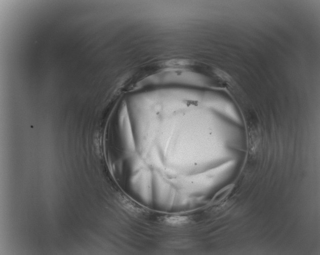 X0000059800669200511041628