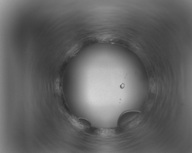 X0000059800670200511041628