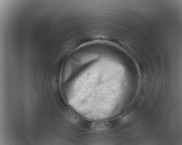 X0000059800671200511041629