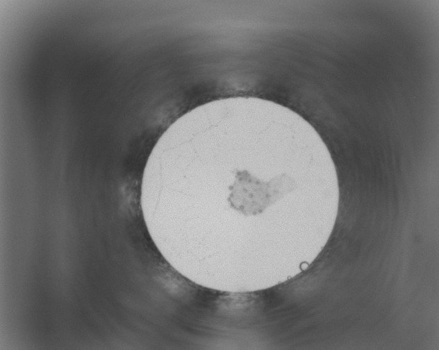 X0000059800672200511041629