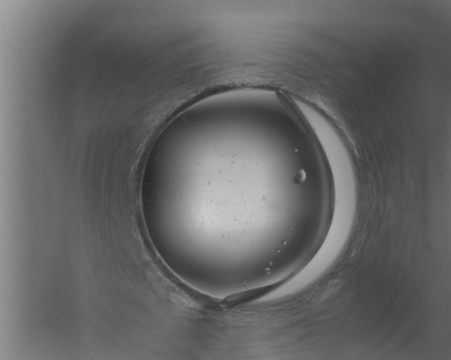 X0000059800673200511041628