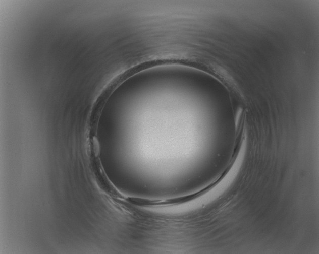 X0000059800676200511041628