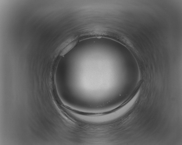 X0000059800677200511041628