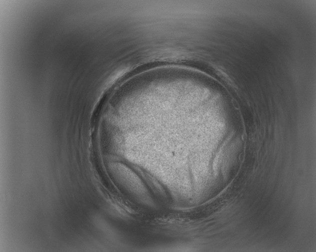 X0000059800679200511041628