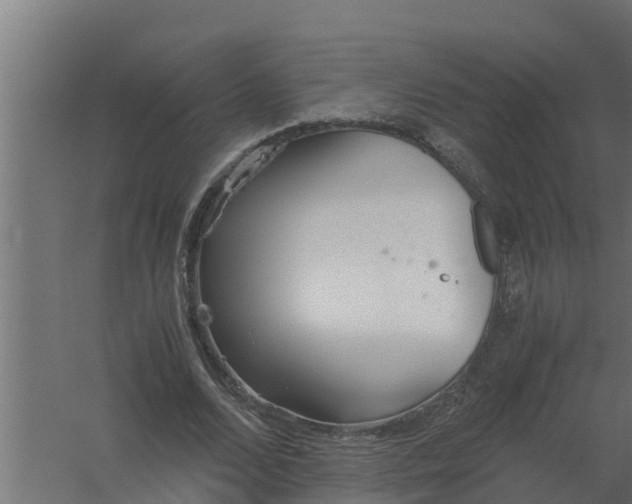 X0000059800680200511041628