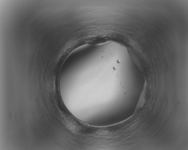 X0000059800685200511041628