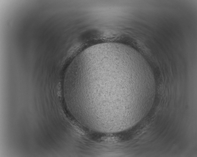 X0000059800689200511041627