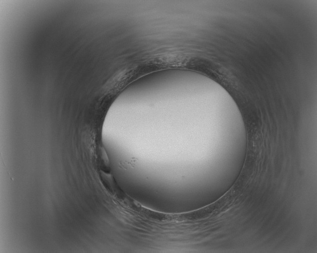 X0000059800693200511041627