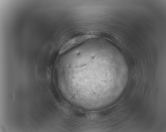 X0000059800695200511041627