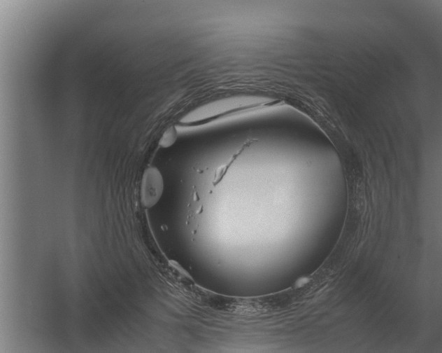 X0000059800697200511041627