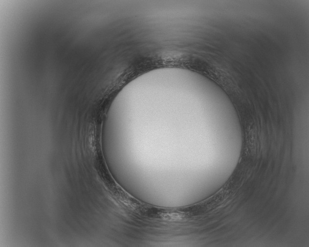 X0000059800698200511041627