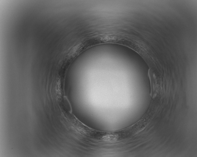 X0000059800700200511041627