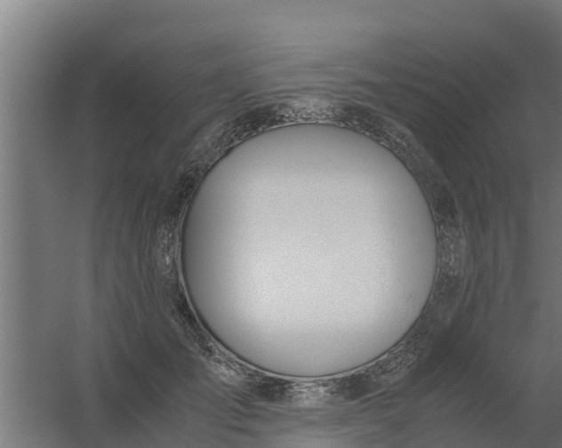 X0000059800701200511041627