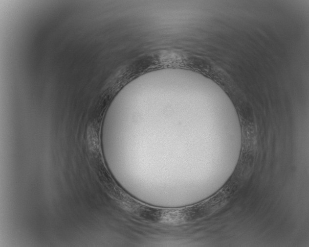 X0000059800705200511041627