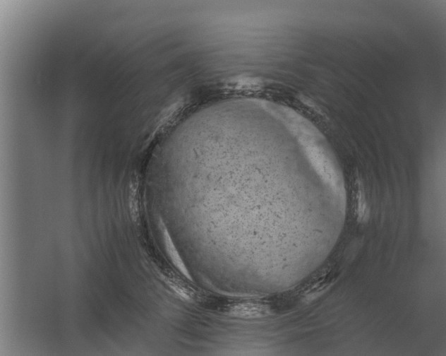 X0000059800708200511041627