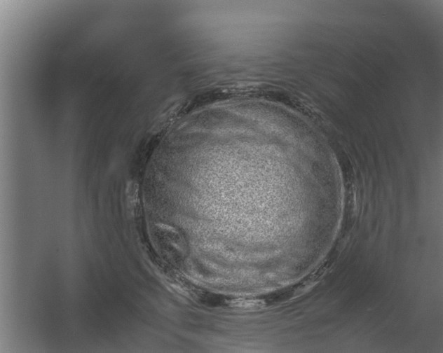 X0000059800711200511041627