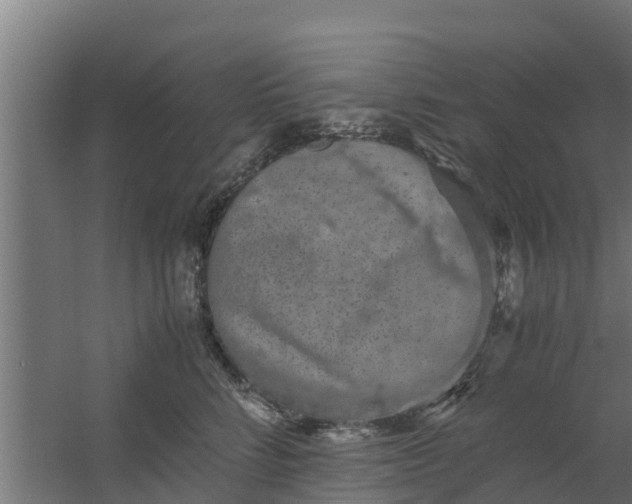 X0000059800712200511041627