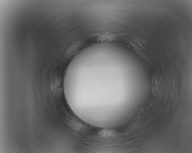 X0000059800714200511041627