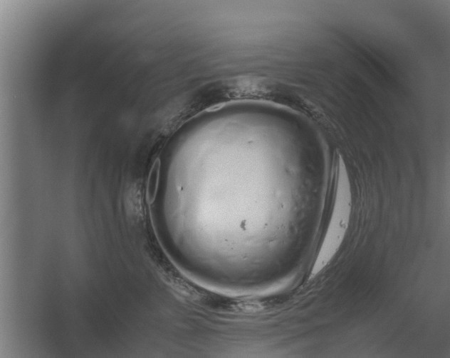 X0000059800715200511041627