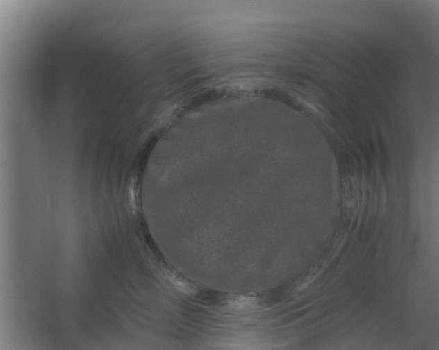 X0000059800718200511041627