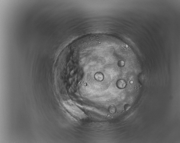 X0000059800721200511041626