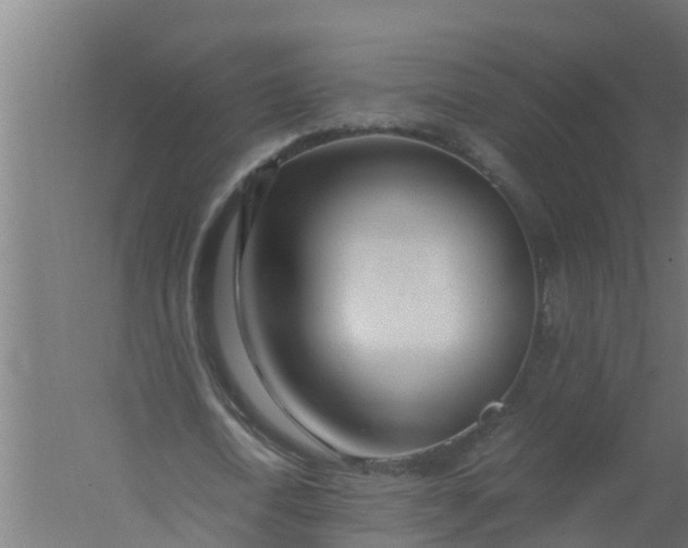 X0000059800722200511041626