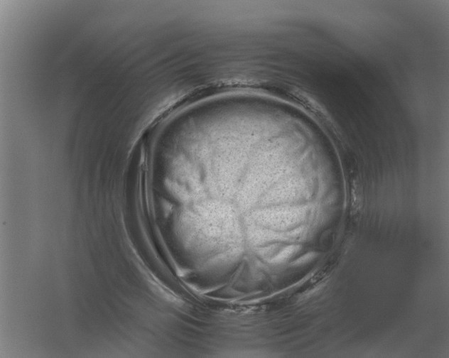 X0000059800725200511041626