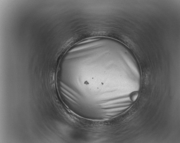 X0000059800729200511041626